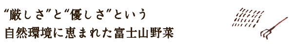 “厳しさ”と“優しさ”という自然環境に恵まれた富士野菜